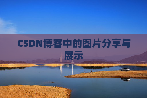 CSDN博客中的图片分享与展示